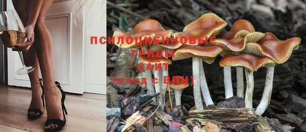 каннабис Алзамай